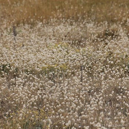 Belle-Île, Bretagne